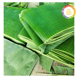 ใบกล้วยแช่แข็งตัดให้ได้ขนาดเพื่อความสะดวกในการใช้งานในร้านอาหารการจัดเลี้ยงและการทำอาหารที่บ้าน - Product Image 1