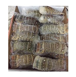Best Price Frozen seafood <b>Lobsters</b> Bulk Stock Available With Customized Packing - Product Image 6