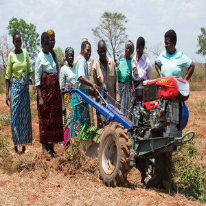 Tractor Agrícola de Dos Ruedas de Alta Calidad, Usado y Nuevo, Mini Tractor para Agricultura en Venta - Product Image 2