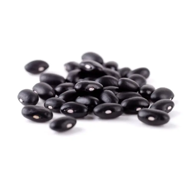 Dried kidney beans | new crop Black beans wholesale price
