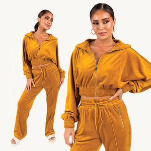 Tenues personnalisées de haute qualité Top court en velours Sweats à capuche Survêtement Survêtement en velours Survêtements de velours Jogging pour femmes Survêtement en velours - Product Image 1