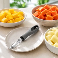 RVS draaibare schilmes met recht mes, groente- en fruitschiller, ergonomische handgreep, keuken gadget, groothandel levering