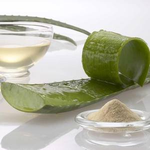 ผงสกัดจากว่านหางจระเข้ผู้ผลิตที่เชื่อถือได้จากเวียดนาม - Product Image 2