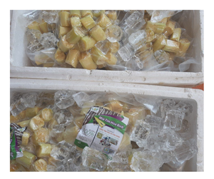 Palitos de caña de azúcar congelados de primera calidad, caña de azúcar dulce de Vietnam, cantidades a granel, exportación, mejor precio, jugo de caña de azúcar congelado, oferta de venta superior - Product Image 2