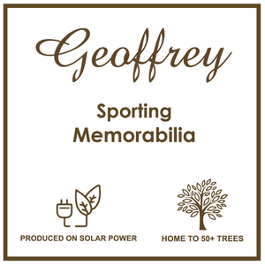 Ballon de polo d'intérieur Geoffrey P5 Arena blanc orange rose rouge |   Jeu d'équitation et de football - Product Image 6