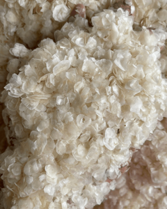 Écailles de poisson séchées de qualité supérieure pour la production de collagène, fournisseur vietnamien - Product Image 6