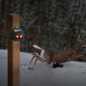 Lumières stroboscopiques rouges pour utilisation en <span class=keywords><strong>intérieur</strong></span> dans les jardins, répulsif efficace contre les rats, dissuasion contre les cerfs, les ratons laveurs, les coyotes pour les animaux nocturnes - Product Image 4