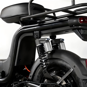 Vélo <span class=keywords><strong>cargo</strong></span> électrique deux <span class=keywords><strong>places</strong></span>, moteur arrière sans balais 1000W 48V, batterie au plomb-acide, assistance au pédalage, double frein à disque, 3 vitesses, acier au carbone - Product Image 5