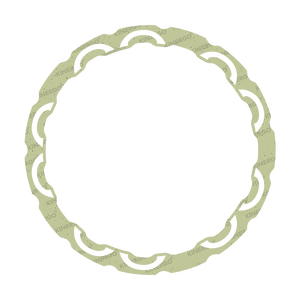 Forro de Fricción ZF03LV5 para ZF 6HP19, 245mm V5 (Vipex) - Product Image 1