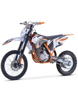 VENTE RAPIDE - Nouvelles Offres Abordables pour la Moto Tout-Terrain Trailmaster TM31 250CC PR0 - Product Image 5
