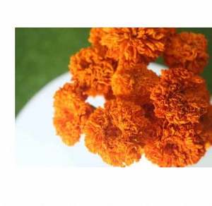 Polvo de Flor de Caléndula Herbal Natural, Ingrediente Cosmético de Caléndula en Polvo, Polvo de Flor de Caléndula para la Salud Diaria - Product Image 5