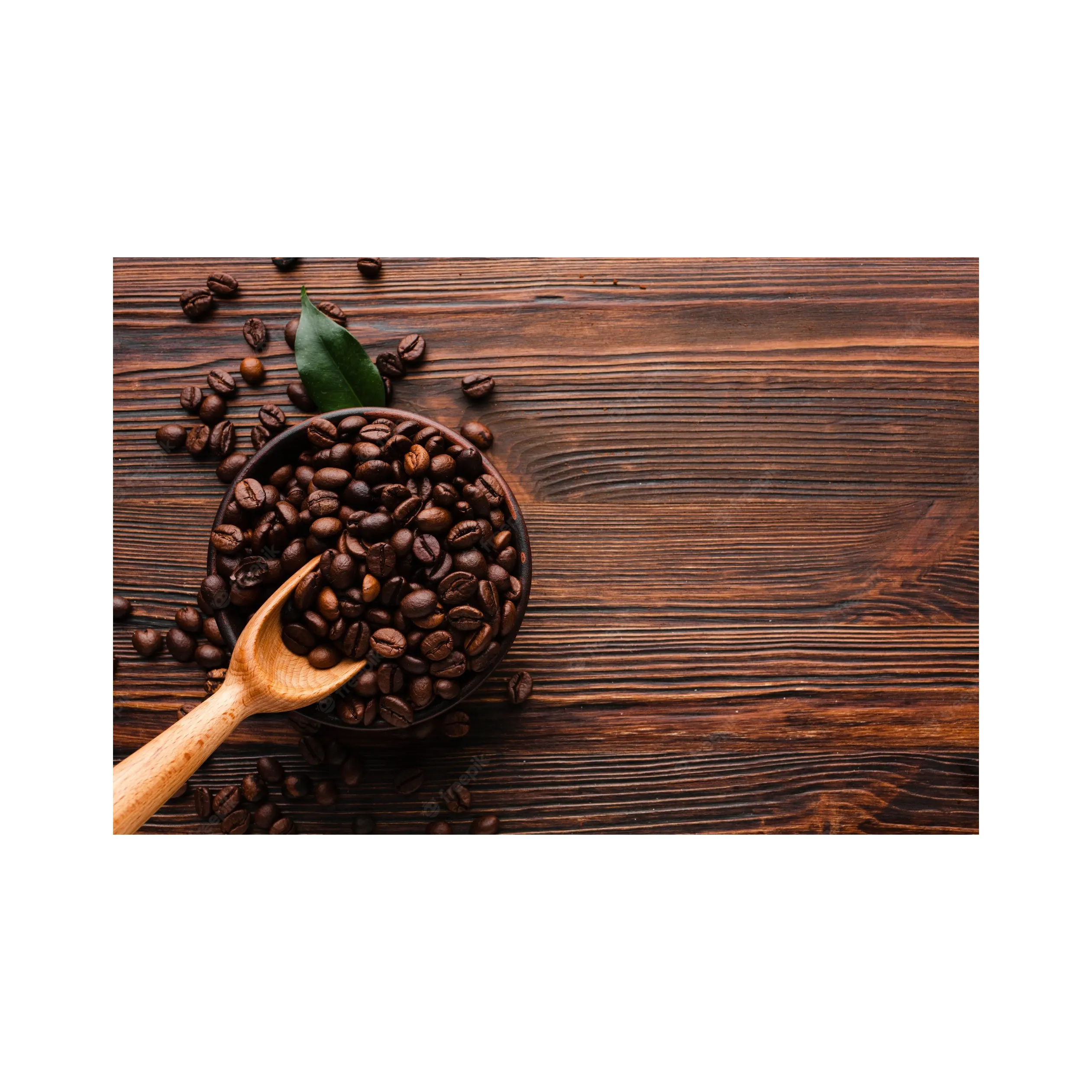 Buon prezzo Arabica Cau Dat S16 chicchi di caffè tostati falegnameria meglio vendere chicchi di caffè torrefatto