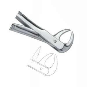 Forceps d'extraction dentaire Fig86 B Manuel Certifié CE Acier inoxydable de haute qualité Logo personnalisé Instruments dentaires - Product Image 4