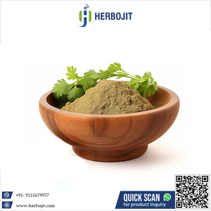 Herbojit International – Nouvelle poudre de coriandre séchée par atomisation de qualité alimentaire, additifs naturels et sains, assaisonnements et mazalas à bas prix - Product Image 6