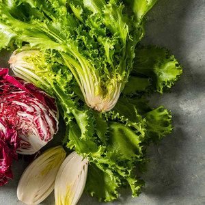 Chicorée d'endives de qualité supérieure: les espèces de légumes à feuilles amères les plus vendues pour la vente en gros et en vrac - Product Image 4