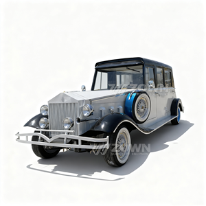 Nouvelle option économique de voiture de tourisme scénique classique électrique vintage pour les visites en bus et en voiture vente à durée limitée - Product Image 1