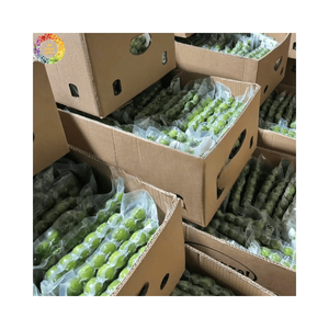 Dracontomelon Congelado Estándar de Exportación, Fruta Verde Ácida IQF al por Mayor, Fruta Natural de Vietnam para Cocina Asiática Tradicional - Product Image 4