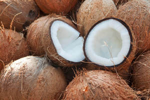 Vente en gros à prix raisonnable de noix de coco séchée de haute qualité du Vietnam exportation en vrac - Product Image 5