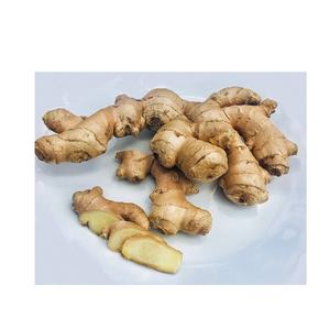 Gingembre frais en vrac disponible maintenant à des prix abordables pour du gingembre de haute qualité pour vos créations culinaires - Product Image 5