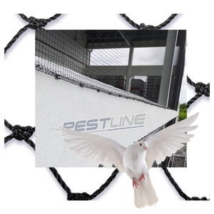 PESTLINE PRO 50x50 Bird Netting High Durability Plastic <strong>Net</strong> For Effective Bird Infestation Control - Product Image 1