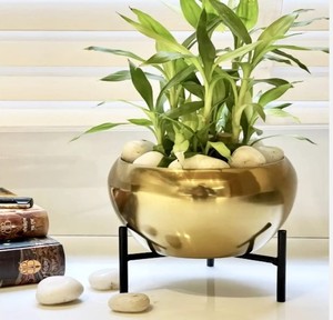 Jardinière ronde en acier doux avec finition patinée pour embellir votre intérieur - Product Image 5