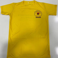 T-shirt pour homme de qualité supérieure 100% coton, couleur unie, design personnalisable, tissu tricoté 160g, écologique, respirant, manches courtes