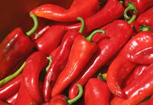 Chiles Rojos Frescos de Vietnam al Por Mayor al Mejor Precio, Fruta de Primera Calidad en Venta - Product Image 5