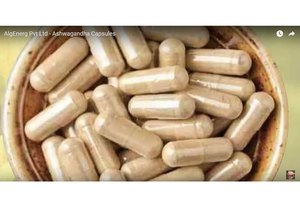 Fournisseur en gros de capsules d'ashwagandha biologique, capsules d'extrait de Withania Somnifera, supplément à base de plantes en marque privée OEM, export - Product Image 5
