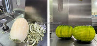 Commerciële Ananas Pomelo Schilmachine Grapefruit Winter Meloen Kokos Dunschiller Machine