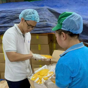 มะม่วงอบแห้งแบบนิ่มที่มาจากเวียดนามสำหรับแบรนด์อาหารและผู้จัดจำหน่ายขนมขบเคี้ยว - Product Image 4