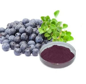 Wholesale 4:1 <b>Pure</b> Food Grade <b>Acai</b> Berry Fruit Powder Solvent Extracted Antioxidant Skin Health Polyphenols Active Packaged Drum - Product Image 2
