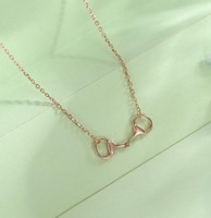 Collar de Plata de Ley 925 Sólida con Diseño Minimalista de Brida de Caballo, Cadena de Eslabones, Inspirado en Caballos, Regalo para Amantes de los Animales