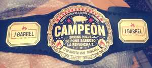 Cinturones de Campeonato Personalizados! Cinturones de Lucha Libre NEW WORLD - Product Image 5