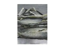 DE VIETNAM MEJOR CALIDAD-PIEL DE PESCADO BA SA SECA - Product Image 1