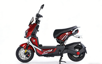 Vélo électrique urbain CCT 01 Golden Eagle 350W avec moteur sans balais, pneus à vide 14 250, écran LCD et alarme antivol