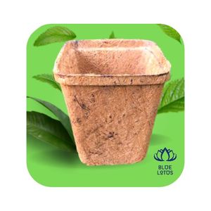 Maceta de coco Biodegradable para plantas, maceta de iniciación de semillas, árbol verde, flor, mantillo de coco, precio barato, a granel, de Vietnam - Product Image 1