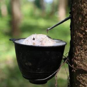 Cup Lump Rubber de Vietnam, calidad de exportación para la fabricación de neumáticos - Product Image 3