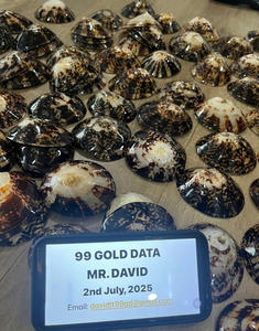 เปลือกหอยสำหรับเด็กทารกใช้เป็นนมแม่เพื่อช่วยให้คุณสามารถแสดงภาพของเปลือกหอยได้หลายหยด - Product Image 4