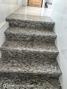 <span class=keywords><strong>Escaleras</strong></span> de Granito con Diseño de Ondas Marinas Personalizadas, Antideslizantes, Populares para Interiores y Exteriores - Product Image 6