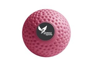 ลูกฮอกกี้สำหรับฝึกซ้อมและฝึกซ้อมลูกฮอกกี้โลโก้แบบกำหนดเอง - Product Image 5