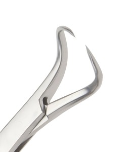 Instrument chirurgical manuel de haute qualité équipements dentaires pince à serviette Backhaus avec pince à serviette pince à serviette pince à serviette chirurgicale - Product Image 6