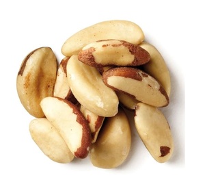 Grossiste exportateur de noix du Brésil naturelles pures de haute qualité - Product Image 5