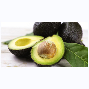 Aguacate Premium Saludable al por Mayor, Fresco y de Alta Calidad al Mejor Precio, Directamente de los Productores - Product Image 5