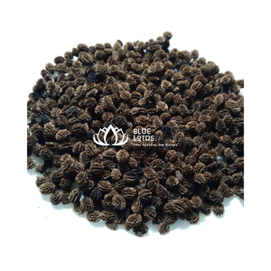 Graine de papaye séchée traitée pour l'industrie alimentaire - Product Image 1