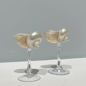 Decorative Shell <b>Cup</b> For Summer Party And Beach Theme From Vietnam 99 Gold Data Wholesale Best Price - Product Image 1