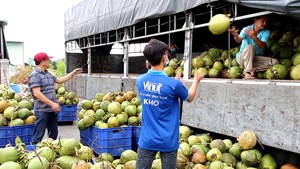 250ml Can J79 <b>Dragon</b> Energy Drink Custom Logo Energy Natural Power Drink - Product Image 3