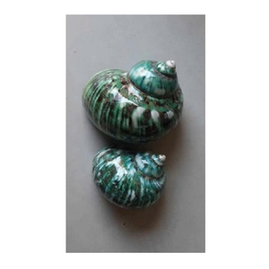 Vietnam Factory 99 Gold Data fournit une coquille de conque en blanc et vert pour les décorations et l'artisanat sur le thème de la mer - Product Image 4