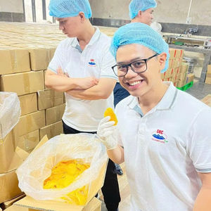 Vietnam Soft <b>Dried</b> Mango Chewy Sweet Tropical <b>Fruit</b> <b>Snack</b> Perfect for Wholesale and Retail - Product Image 1