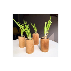 NUEVO DISEÑO DE COPA DE BAMBÚ CUENCO VIETNAM AMBIENTAL-SEGURO DE BLUE LOTUS FARM VIETNAM - Product Image 3