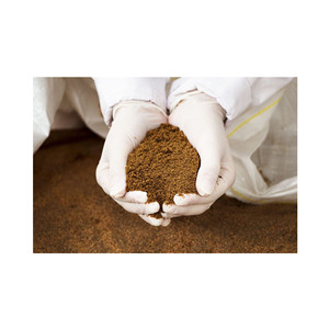 Bone Meal for Animals in bulk High Protein 85% Chicken Feather Meal <b>Feed</b> <b>Additives</b> for Poultry - Product Image 1